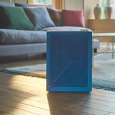 Coway Airmega 160: Breathe Easy with True HEPA Air Purifier (214 Sq Ft)